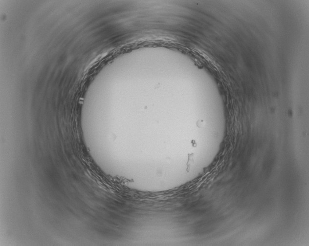 X0000069360824200606091559