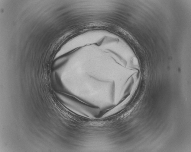 X0000069360825200606091559