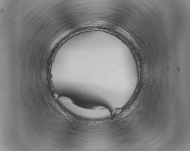 X0000069360826200606091559