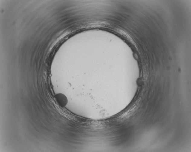 X0000069360827200606091559