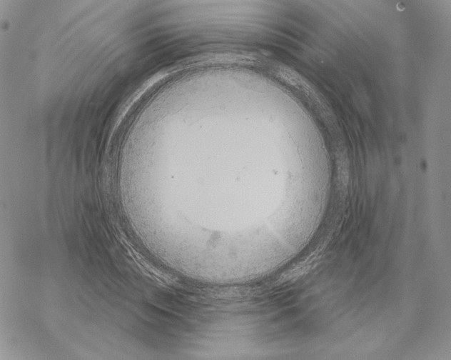 X0000069360828200606091559