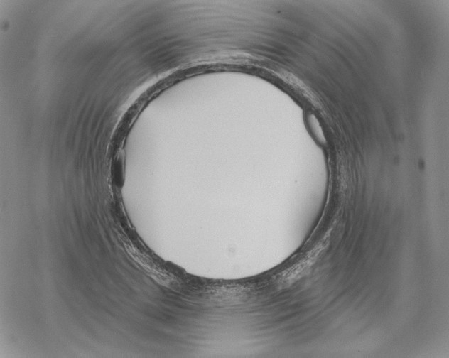 X0000069360830200606091559