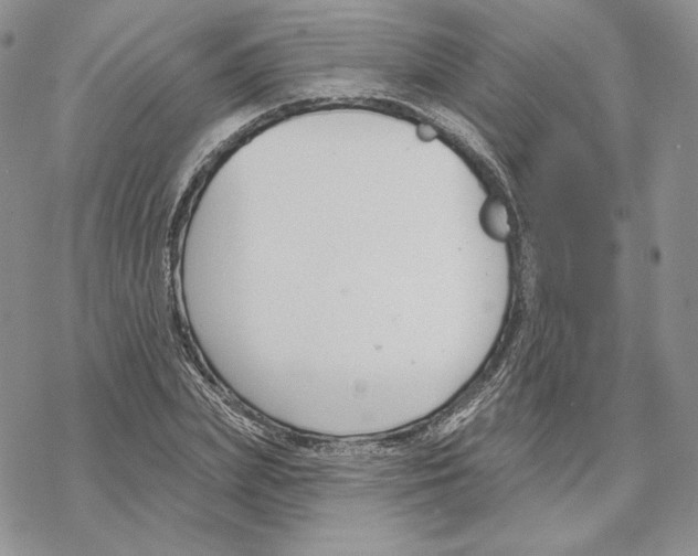 X0000069360831200606091559