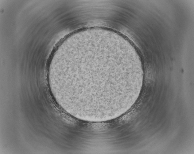 X0000069360832200606091559