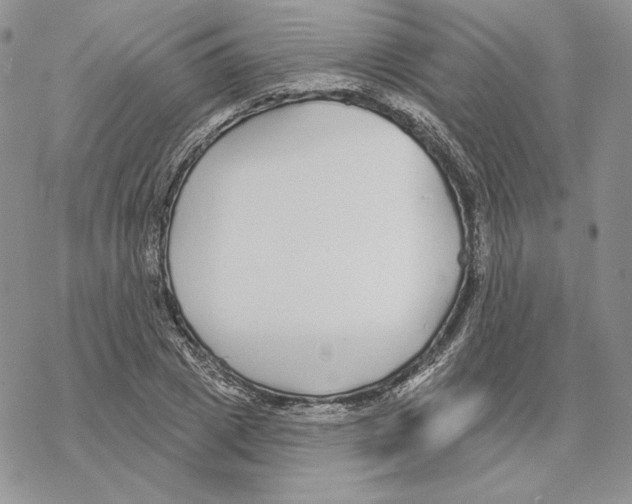 X0000069360833200606091559