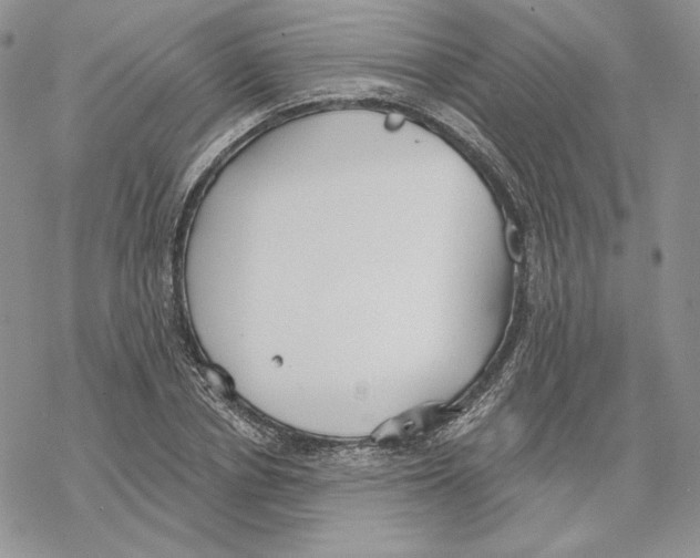 X0000069360834200606091559