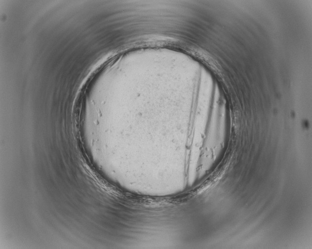 X0000069360835200606091559