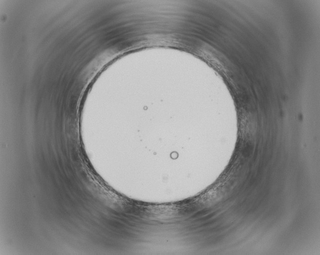 X0000069360836200606091559