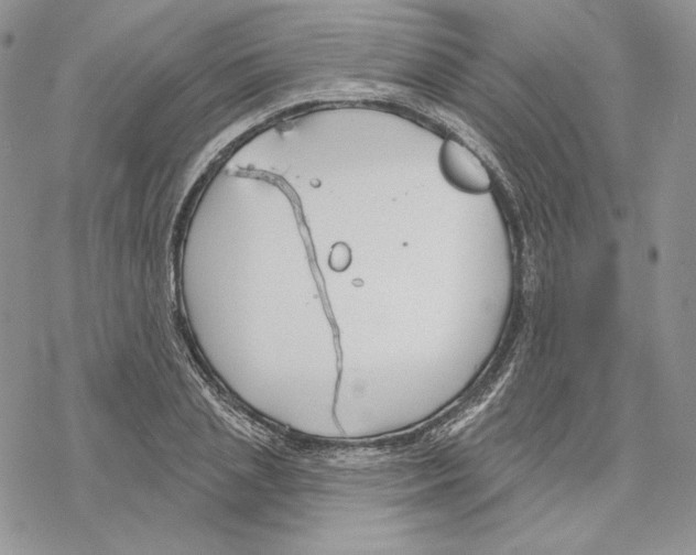 X0000069360837200606091559