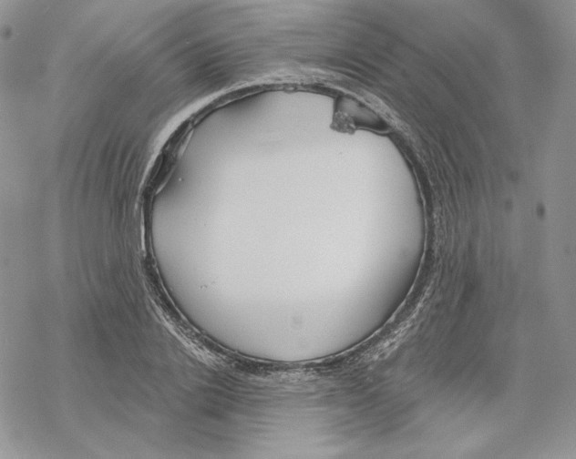 X0000069360838200606091559