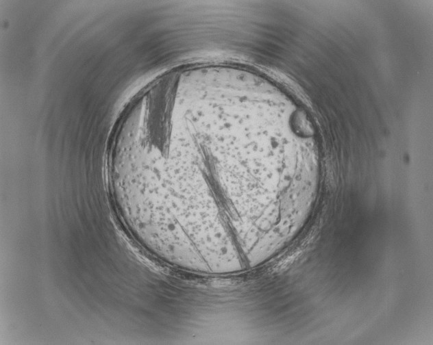 X0000069360839200606091559