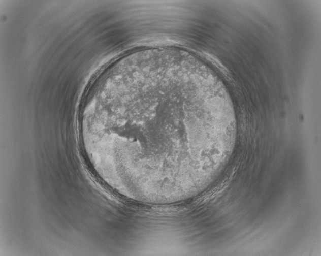 X0000069360840200606091559