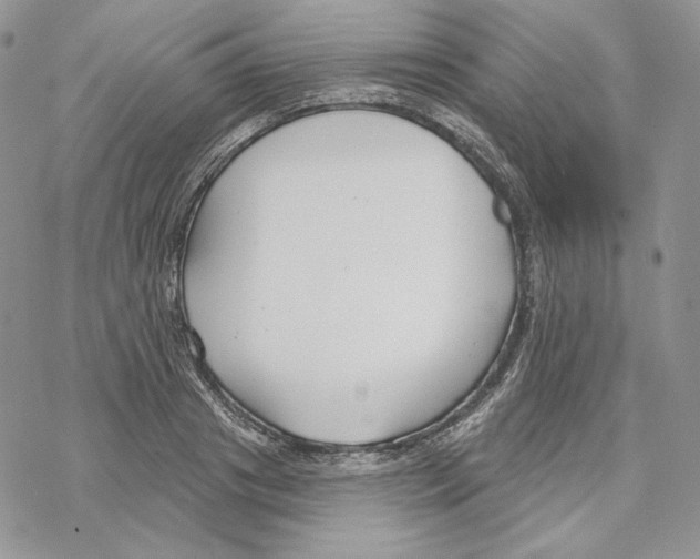 X0000069360841200606091559