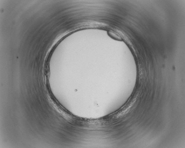 X0000069360843200606091559