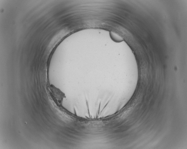 X0000069360844200606091559