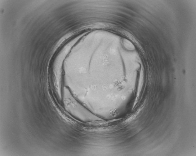 X0000069360845200606091559