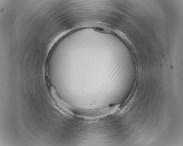 X0000069360846200606091559