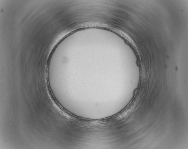 X0000069360847200606091559