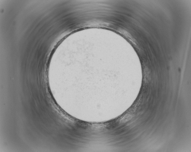 X0000069360848200606091559