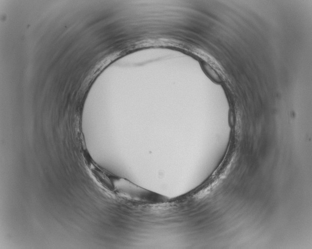 X0000069360849200606091559