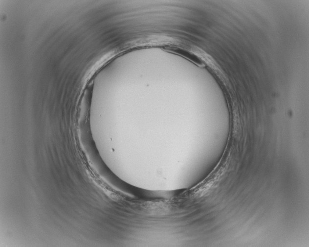 X0000069360850200606091559