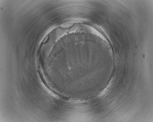 X0000069360851200606091559