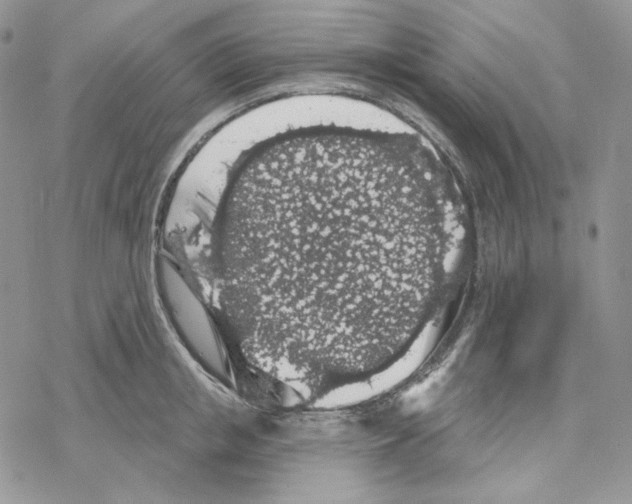 X0000069360853200606091559