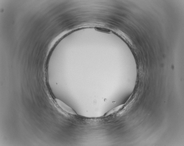 X0000069360854200606091559