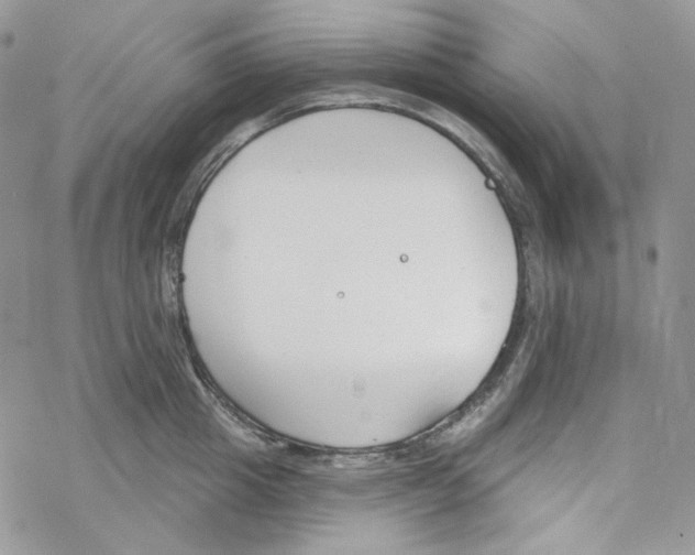 X0000069360857200606091559