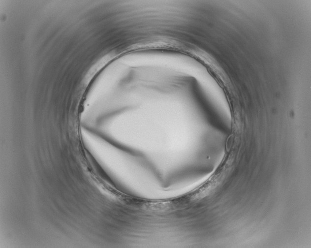 X0000069360858200606091559