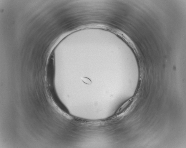 X0000069360860200606091559