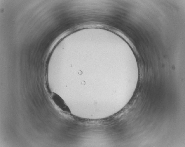 X0000069360861200606091559