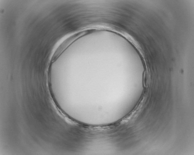 X0000069360862200606091559