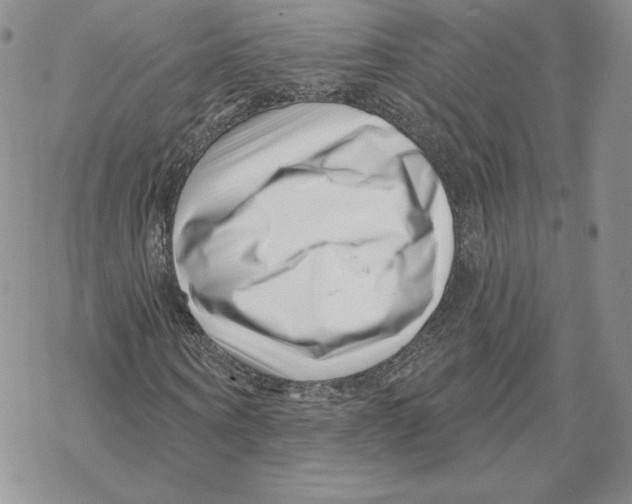 X0000069360866200606091558