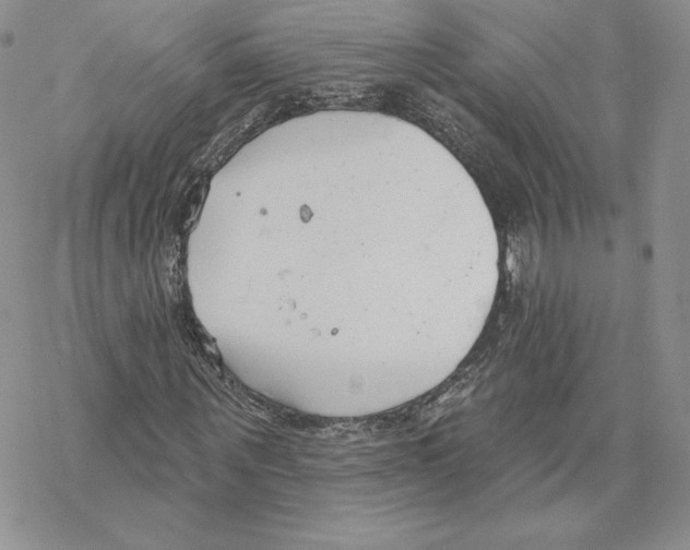 X0000069360867200606091558