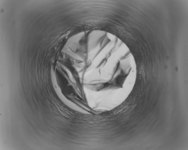 X0000069360868200606091558