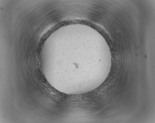 X0000069360871200606091558