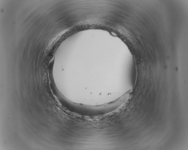 X0000069360872200606091558