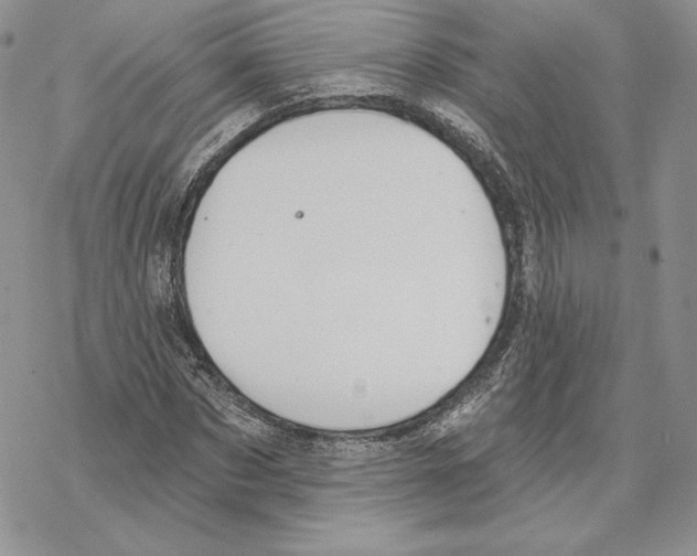 X0000069360873200606091558