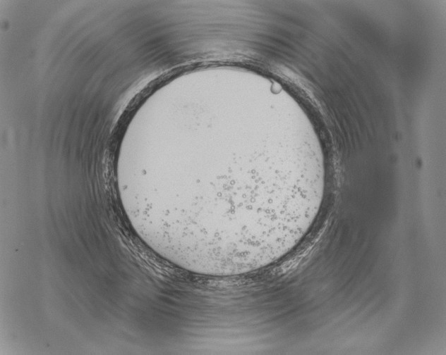 X0000069360875200606091558