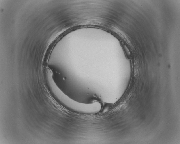 X0000069360876200606091558