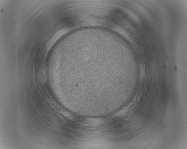 X0000069360878200606091558