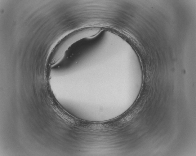 X0000069360880200606091558