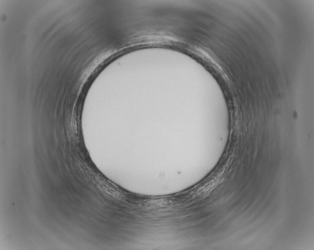 X0000069360883200606091558