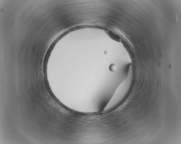 X0000069360884200606091558