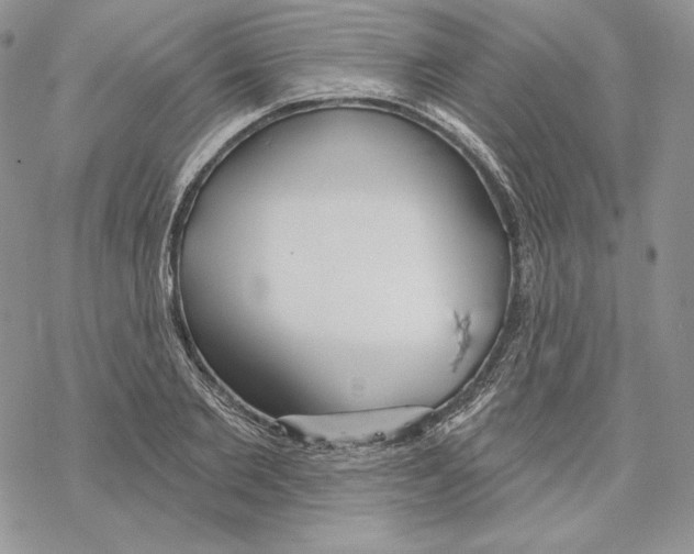 X0000069360885200606091558