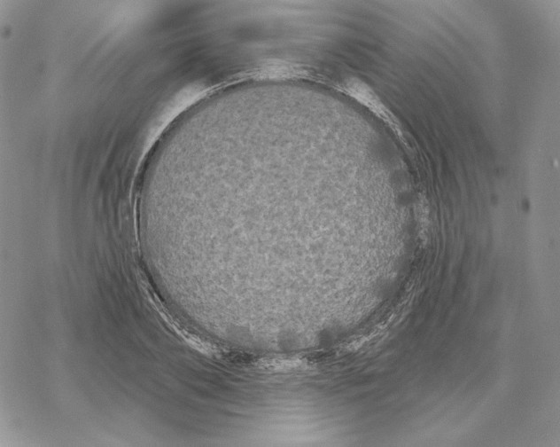 X0000069360886200606091558