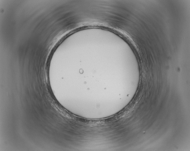 X0000069360887200606091558