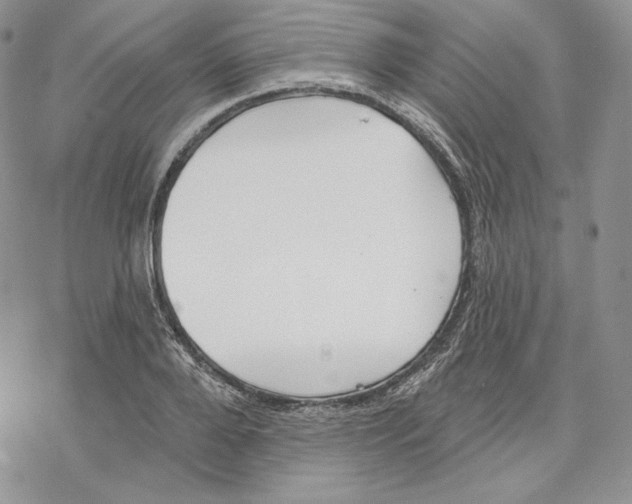 X0000069360888200606091558