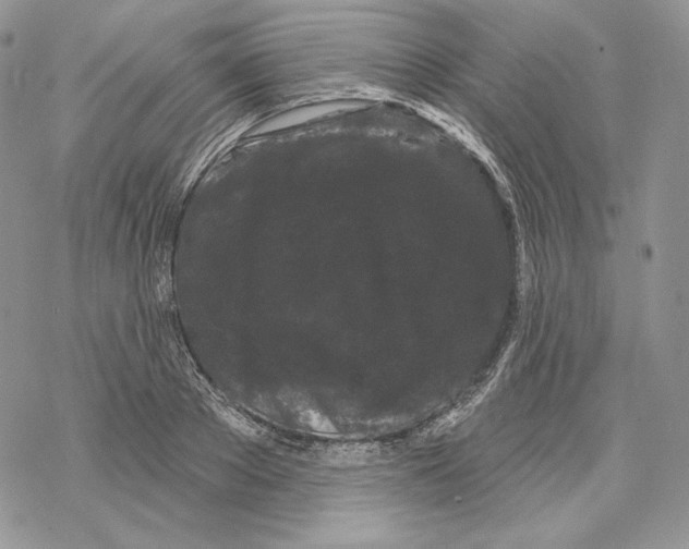 X0000069360889200606091558